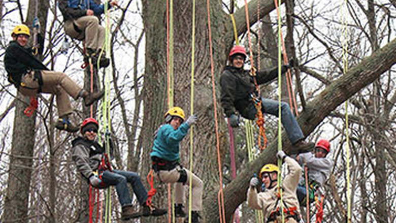 Students hanging from a large tree